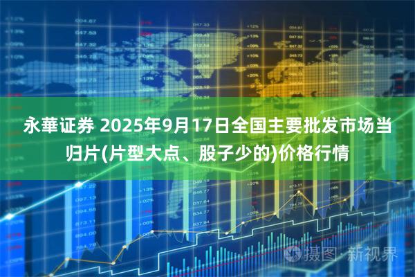 永華证券 2025年9月17日全国主要批发市场当归片(片型大点、股子少的)价格行情