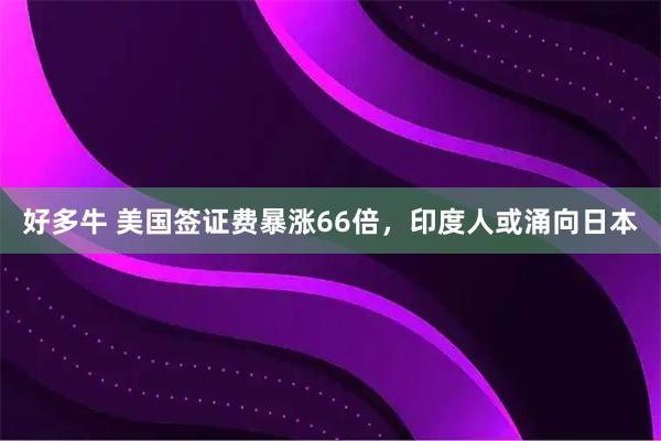 好多牛 美国签证费暴涨66倍，印度人或涌向日本