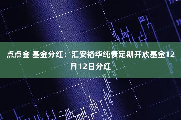 点点金 基金分红：汇安裕华纯债定期开放基金12月12日分红