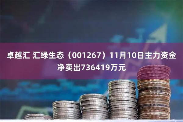 卓越汇 汇绿生态（001267）11月10日主力资金净卖出736419万元