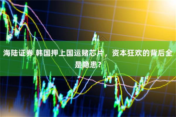 海陆证券 韩国押上国运赌芯片，资本狂欢的背后全是隐患？